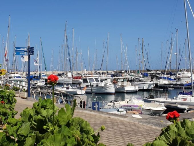 Lanzarote: Sea Safari Experience - Frequently Asked Questions