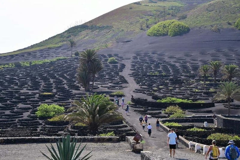 Lanzarote Shopping from Caleta de Fuste (Fuerteventura) - Key Points