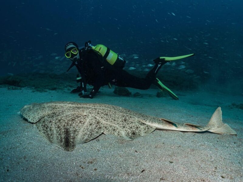 Lanzarote: SSI Open Water Diver Course - Booking Information
