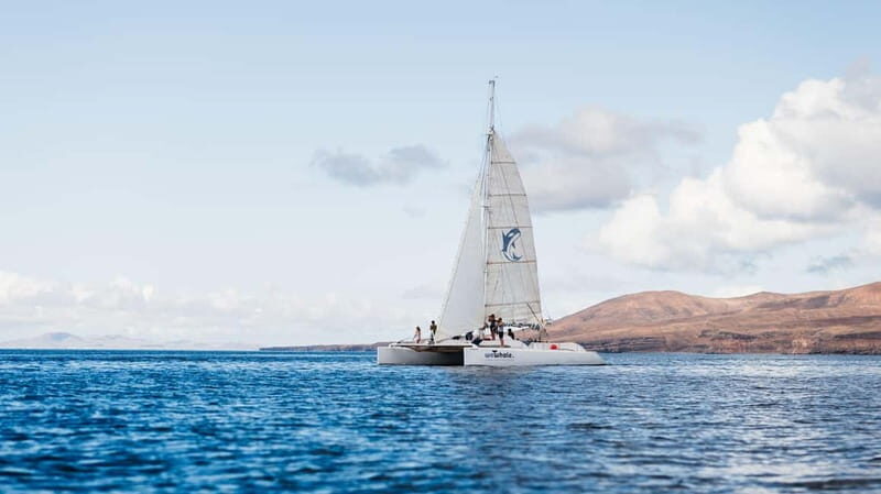 Lanzarote Sunset Experience with dolphin spotting - Why This Tour Is Worth Considering