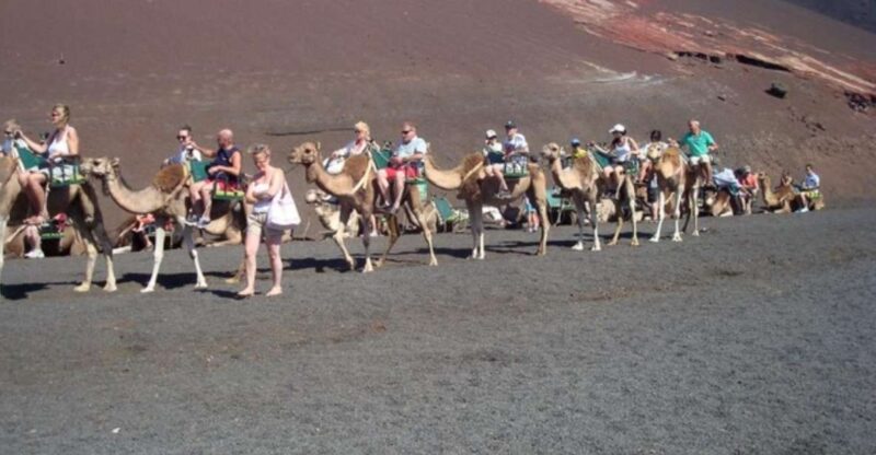 Lanzarote: Timanfaya National Park Tour - Volcanic Shaping of Lanzarote