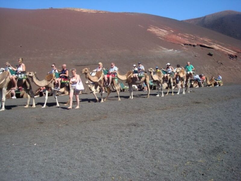 Lanzarote: Timanfaya National Park Tour - Additional Experiences: Local Wine Tasting