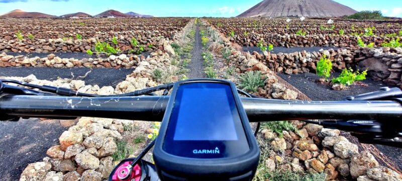 Lanzarote: Timanfaya Volcanic Natural Park E-Bike Tour - Cycling Through the Scenic Vineyards of La Geria