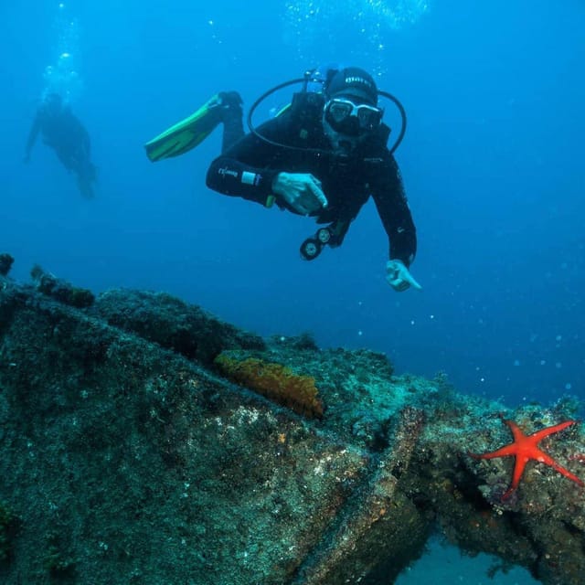 Lanzarote: Try Scuba Diving Experience - Key Points
