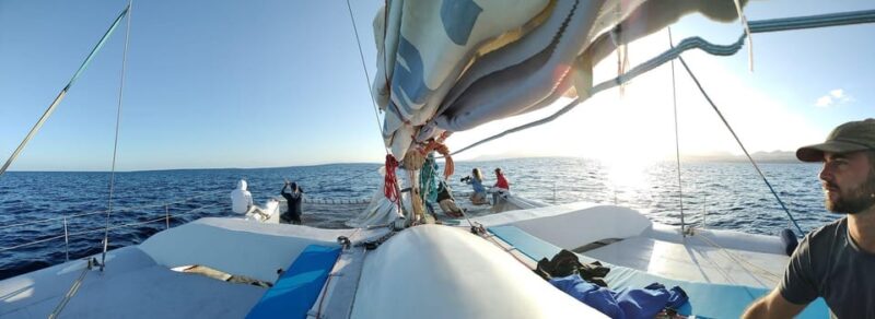 Lanzarote: Whale and Dolphin Watching Eco-Friendly Catamaran - Onboard Amenities