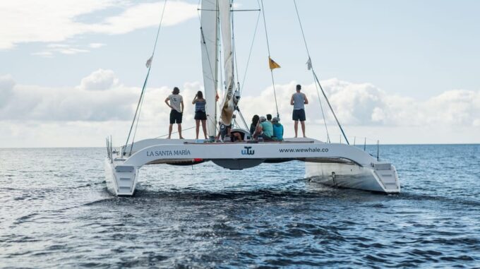 Lanzarote: Whale and Dolphin Watching Eco-Friendly Catamaran - Frequently Asked Questions