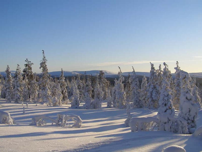 Lapland: A Day at a Traditional Log Cabin & Snowshoe Trek - Discovering Lapland’s Wild Side