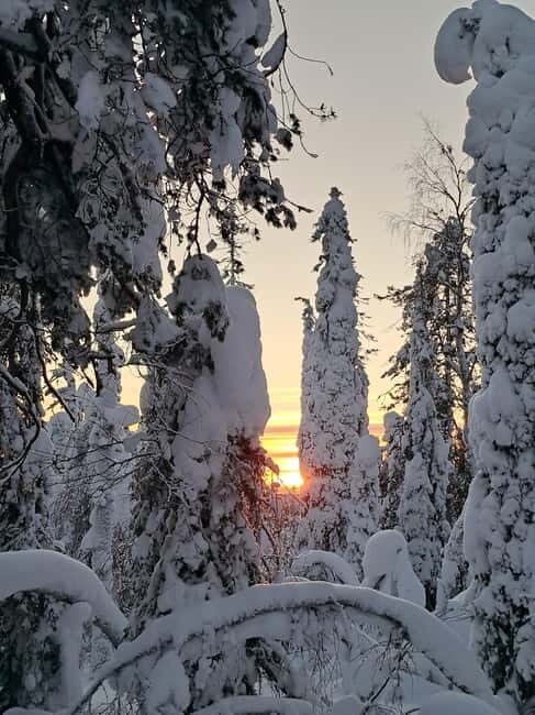 Lapland: A Day at a Traditional Log Cabin & Snowshoe Trek - Warming Up at the Sauna and the Kota