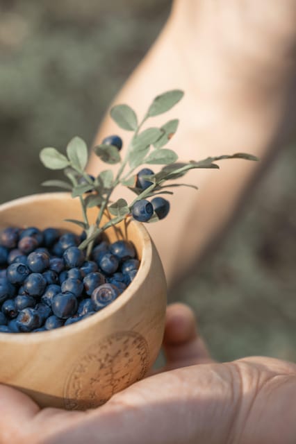 Lapland Cooking Workshop - Who Will Love This?