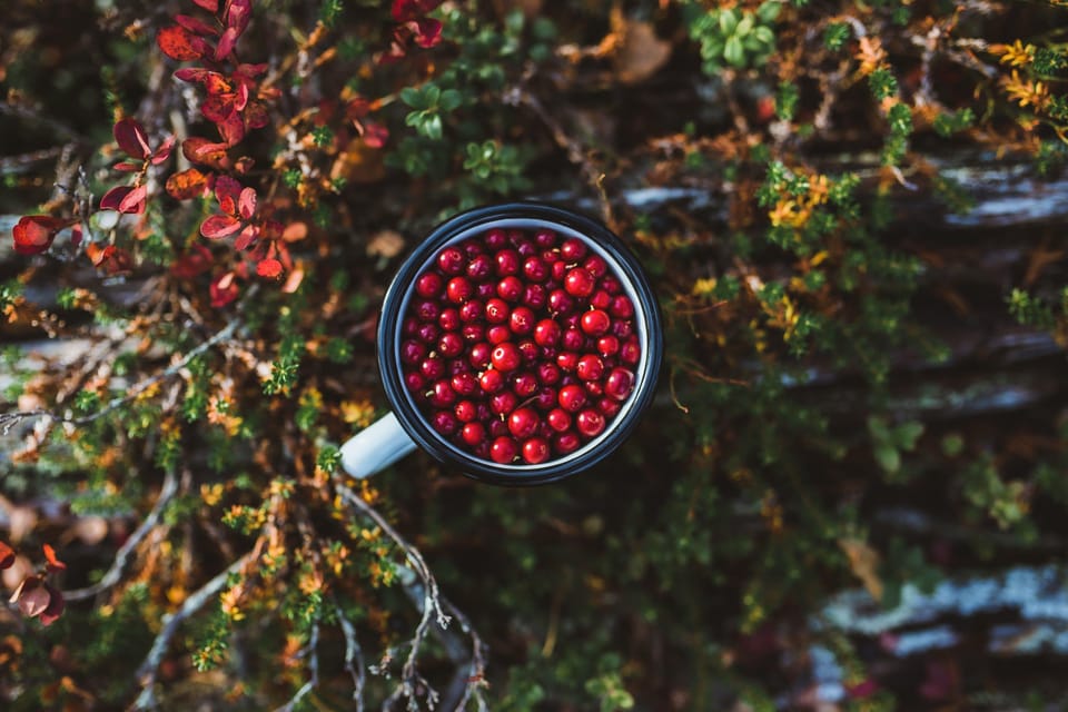 Lapland Cooking Workshop - FAQ