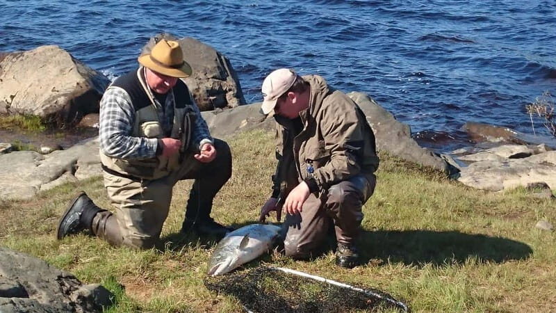 Lapland: Guided Fishing Trip - Authentic Feedback from Travelers
