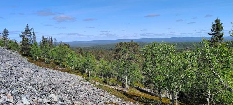 Lapland: Guided Hiking Tour in the Pristine Nature in Luosto - The Logistics and Practicalities