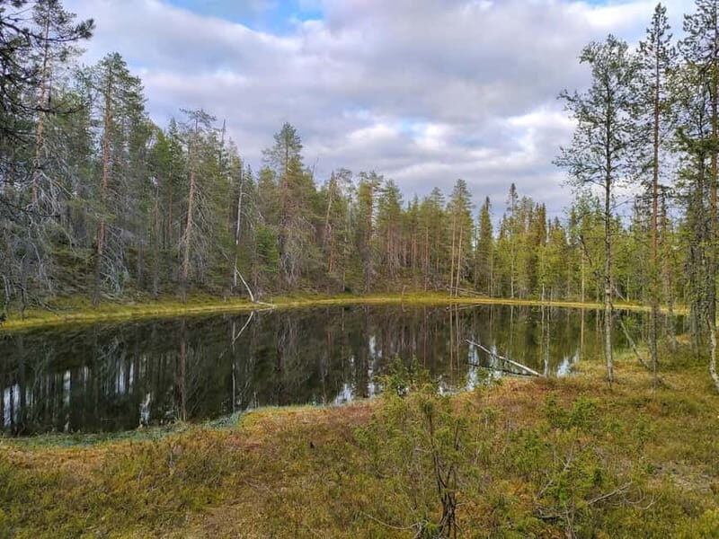 Lapland: Guided Hiking Tour in the Pristine Nature in Luosto - The Sum Up