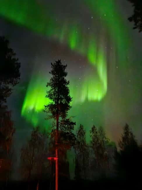 Lapland: Guided Hiking Tour in the Pristine Nature in Luosto - Frequently Asked Questions