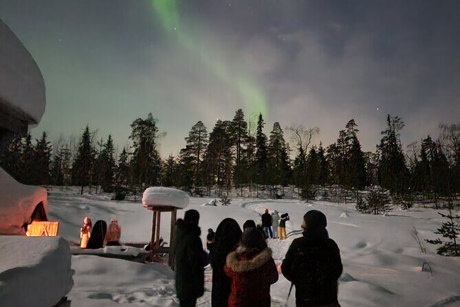 Lapland In A Day - Reindeer, Sledding, Snowmobile & Nature - Practical Details & Value Analysis