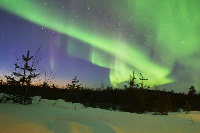 Lapland In A Day - Reindeer, Sledding, Snowmobile & Nature - FAQ