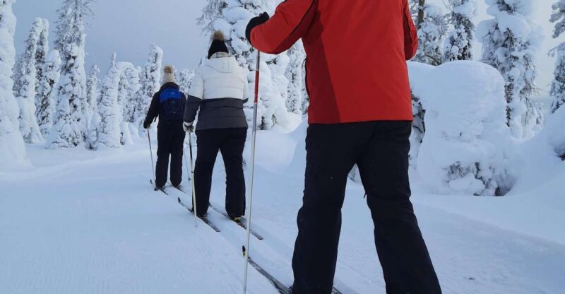 Lapland Levi: Cross-country Skiing for Beginners - Guidelines for Participants