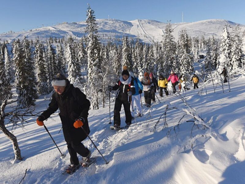 Lapland Levi: Panoramic snowshoeing - Key Points