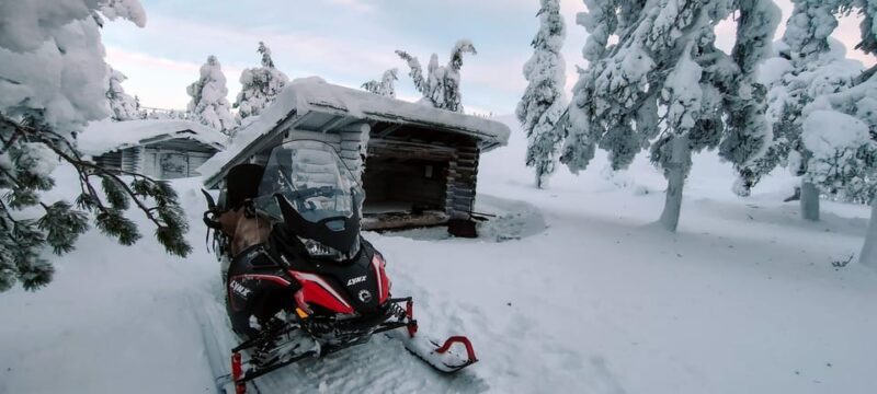 Lapland: Private Snowmobile Safari with arctic Local Guide - Introducing the Lapland Private Snowmobile Safari with an Arctic Local Guide