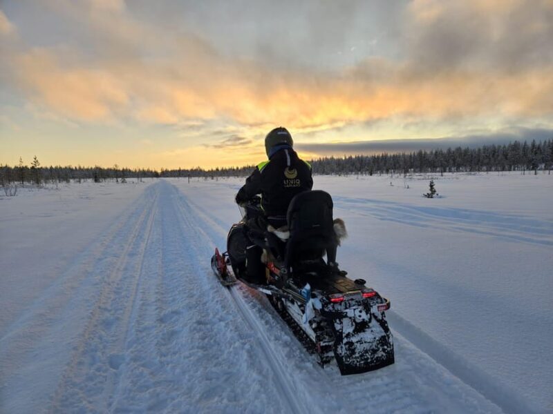 Lapland: Private Snowmobile Safari with arctic Local Guide - The Sum Up