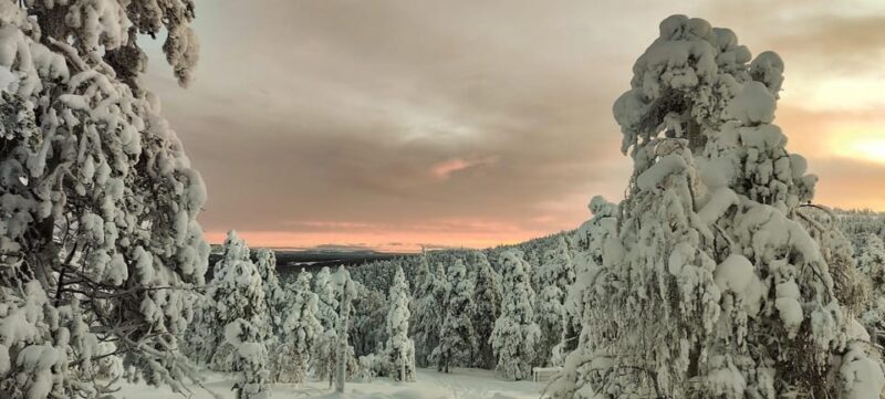 Lapland: Private VIP 7h Snowmobile Tour with Local Guide - Key Points  
