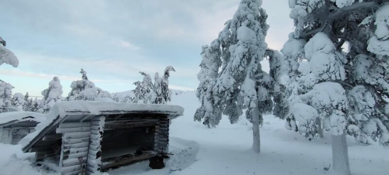 Lapland: Private VIP 7h Snowmobile Tour with Local Guide - Introduction to the Experience