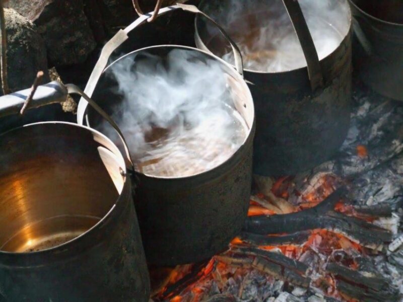 LARC! Paradise Tour: Beach, Lunch and Sandboarding - Price and Value