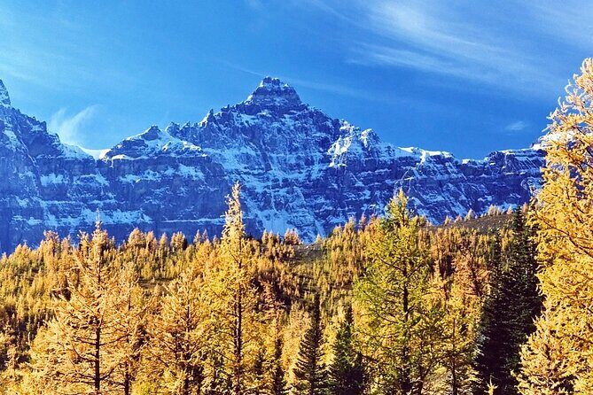 Larch Valley/Moraine Lake Shuttle Transfer from Banff and Canmore - Why It’s a Good Deal