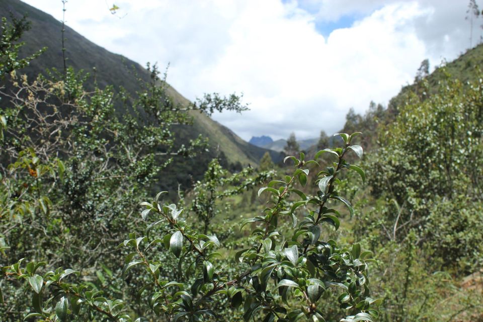 LARES TREK 4D/3N - Overview of the Lares Trek