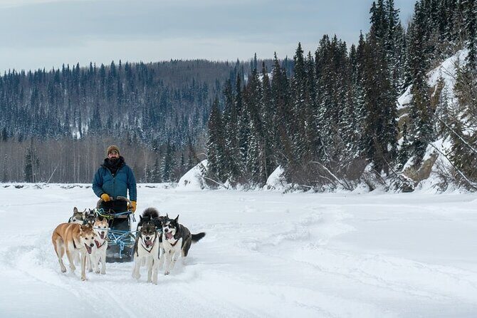 Large Groups for Mushing Activity - Large Groups for Mushing Activity in Fairbanks: An Authentic Alaska Adventure