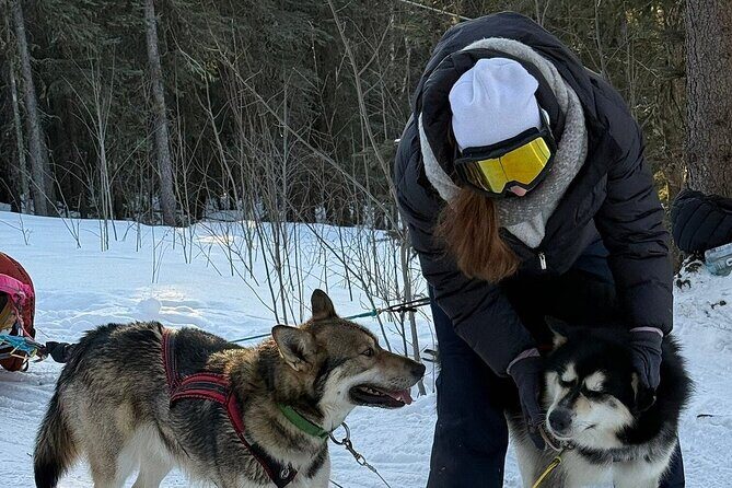 Large Groups for Mushing Activity - Introduction: An Engaging Alaskan Winter Experience