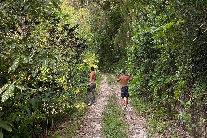 Largest Natural Waterslide, River Hike and Beach Tour in Arecibo - Final Thoughts and Who Its Best For
