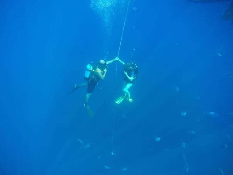 Larnaca: Private Zenobia Beginners Divers - The Breakdown of the Itinerary