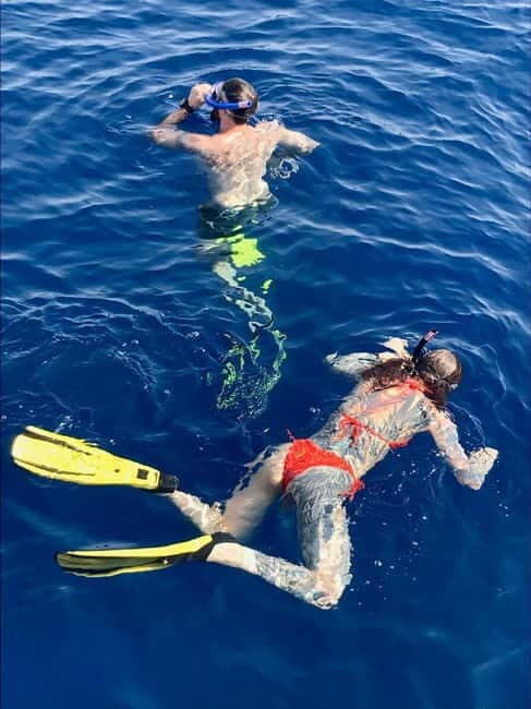 Larnaca: Snorkelling Zenobia Wreck Plus Mini Cruise - Final Word