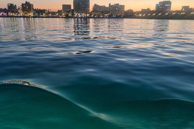 Larnaca Sunset Cruise with Unlimited Beers & Wine - Final Thoughts