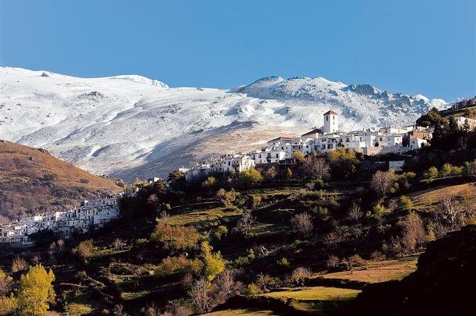 Las Alpujarras Full-Day Tour with Optional Lunch from Granada - Final Thoughts: Who Is This Tour For?
