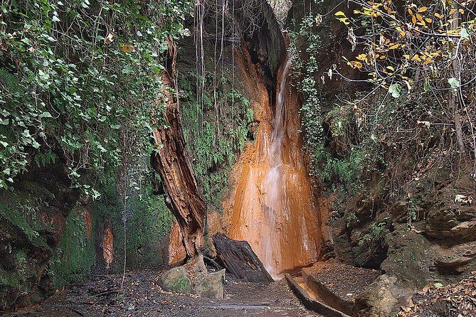 Las Alpujarras Full-Day Tour with Optional Lunch from Granada - In Closing