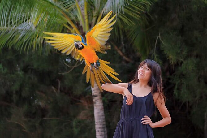 Las Caletas The Best Kept Secret of Puerto Vallarta - The Cultural Touches