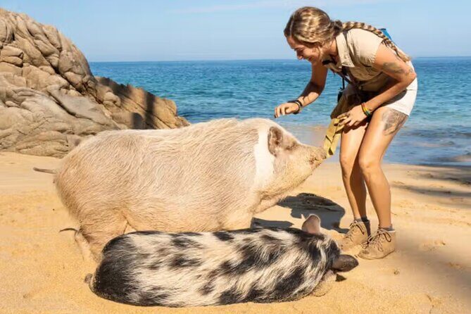 Las Caletas The Best Kept Secret of Puerto Vallarta - Why This Tour Works Well