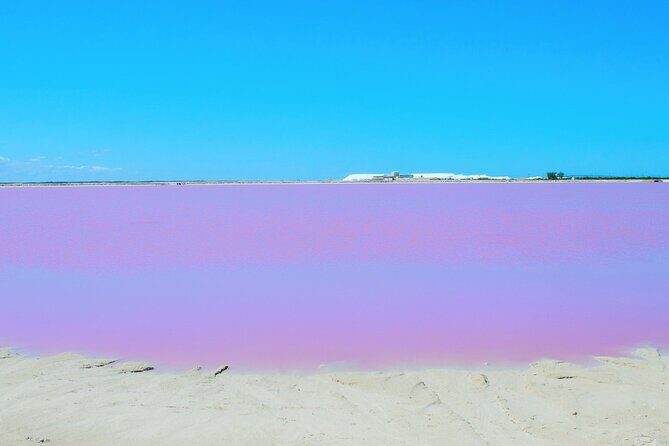 Las Coloradas Amazing Pink Lake & Rio Lagartos from Tulum - Transportation and Comfort
