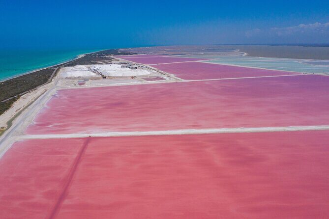 Las Coloradas Amazing Pink Lake & Rio Lagartos from Tulum - The Value of This Tour