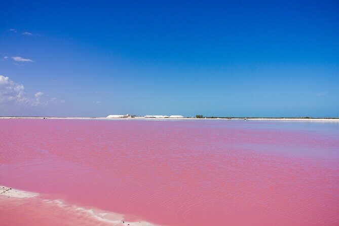 Las Coloradas Amazing Pink Lake & Rio Lagartos from Tulum - Final Thoughts