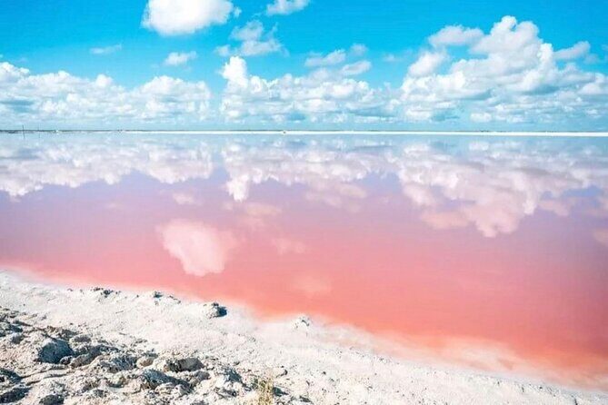 Las Coloradas and Rio Lagartos Day Tour from Cancun - Key Points