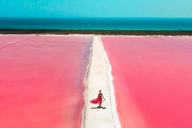 Las Coloradas and Rio Lagartos Day Tour from Cancun - The Sum Up