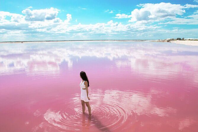 Las Coloradas and Rio Lagartos only from Merida - Value and What You’re Getting
