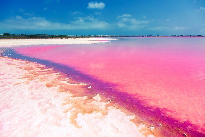Las Coloradas and Rio Lagartos Tour with All Inclusive - FAQs