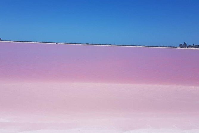 Las Coloradas - Pricing and Value