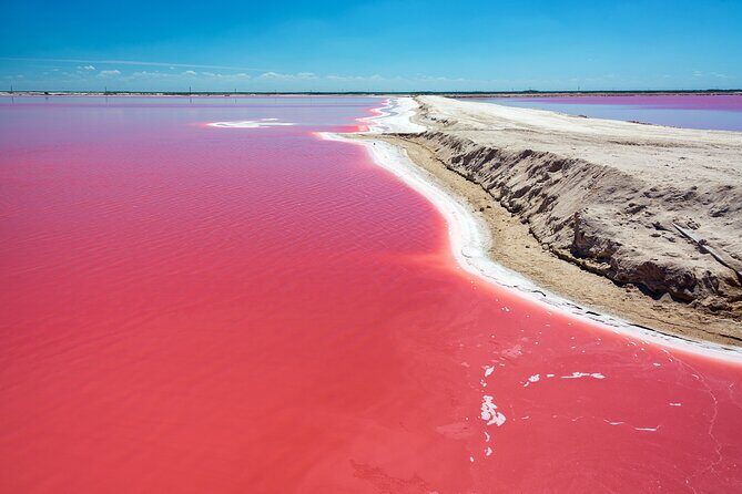 Las Coloradas Pink Lake & Rio Lagartos Guided Tour - Exploring Las Coloradas Pink Lake & Rio Lagartos: A Full-Day Adventure from Cancun
