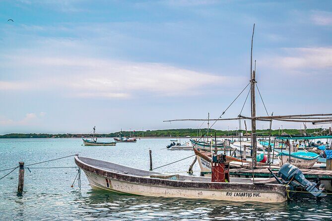 Las Coloradas Pink Lake & Rio Lagartos Guided Tour - Authentic Encounters & Real Traveler Insights
