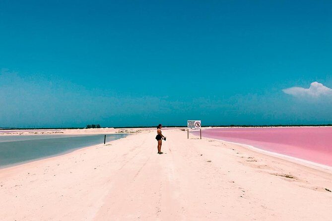 Las Coloradas & Rio Lagartos, Beautiful Eco Adventure from Tulum City - A Closer Look at the Tour Itinerary